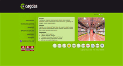 Desktop Screenshot of cagdaskimya.com.tr